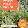 Бухарник мягкий Вайт Фог
